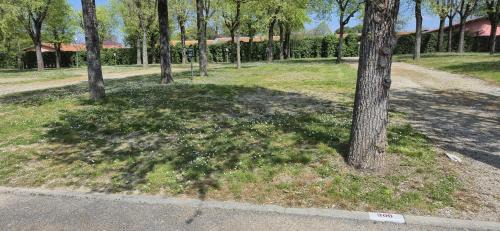 Desenzano del Garda Complejo | San Francesco Camping Village
