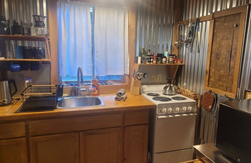Hoodsport Cabina | San Gregorio - A Cozy & Dog Friendly Forest Retreat