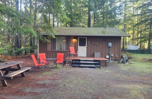 Hoodsport Cabina | San Gregorio - A Cozy & Dog Friendly Forest Retreat