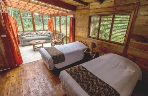 Región amazónica de Ecuador Cabina | San Isidro Lodge