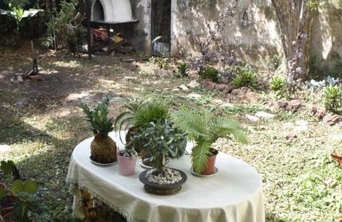 Catedral Casa | San José Sanarte Room