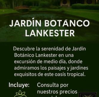 San José Apartamento | San Jose Downtown Suites