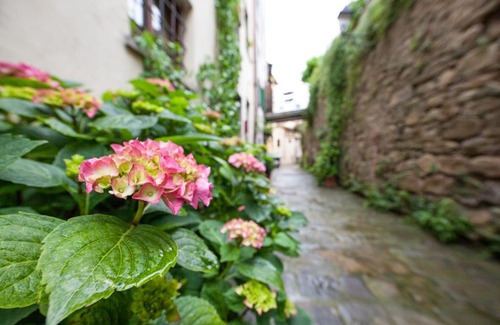 Castiglion Fiorentino Cama Y Desayuno | San Michele al Borgo