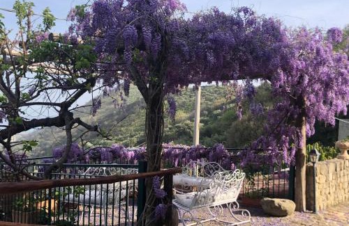 Ficarra Casa | San Noto House With Pool Ac Wifi