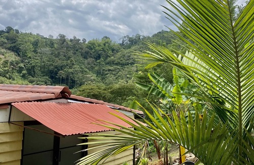 Manizales Cabina | San PEREGRINO