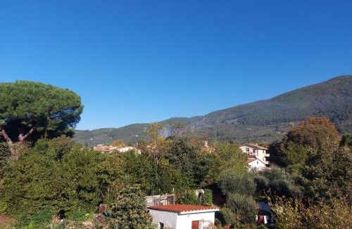 Asciano Pisano Apartamento | San Rocco Appartamenti 2 - Appartamento IL CASTAGNO