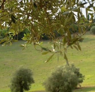 Pesaro Casa | San Rocco Country House