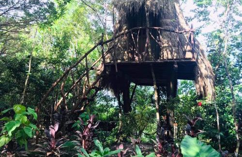 Busuanga Hotel | Sanctuaria Treehouses Busuanga