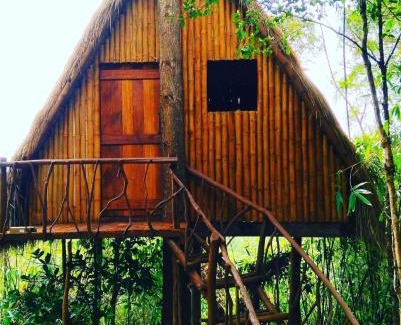 Busuanga Hotel | Sanctuaria Treehouses Busuanga