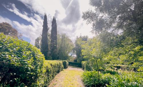 Badger Creek Cabina | Sanctuary Park Cottages