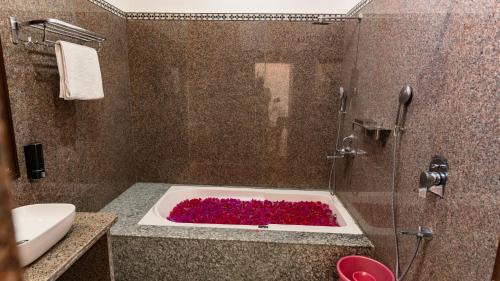 Amar Sagar Pol Hotel | sand castle resort