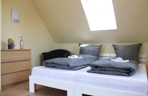 Dassow Casa | Sandregenpfeifer