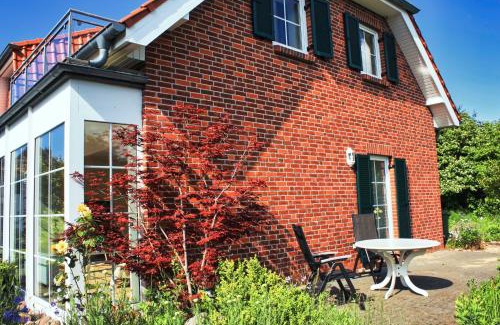 Dassow Casa | Sandregenpfeifer