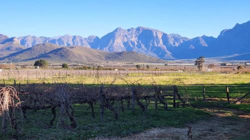 Wolseley Chalet De Esquí | Sandrivier Farm Stay
