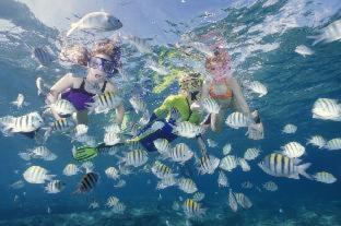 Pompano Beach Hotel | Sands Harbor Resort and Marina