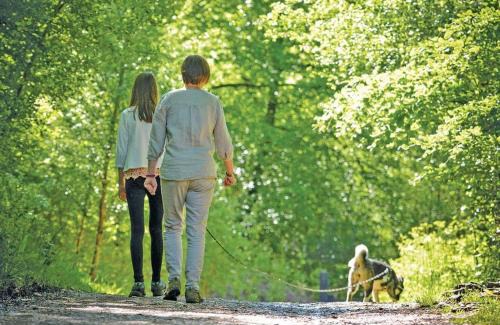 New Forest District Complejo | Sandy Balls Holiday Village