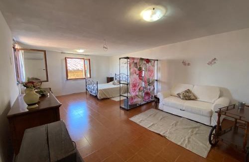 Terricciola Apartamento | Sangiovese & Ciliegiolo