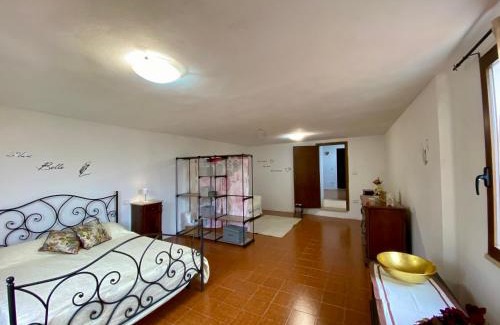 Terricciola Apartamento | Sangiovese & Ciliegiolo