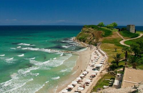 Sane Casa | Sani Olive Grove Gem - The Ultimate Sunny Getaway
