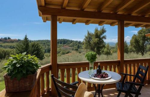Sane Casa | Sani Olive Grove Gem - The Ultimate Sunny Getaway