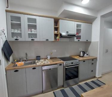 Pancevo Apartamento | Sanja