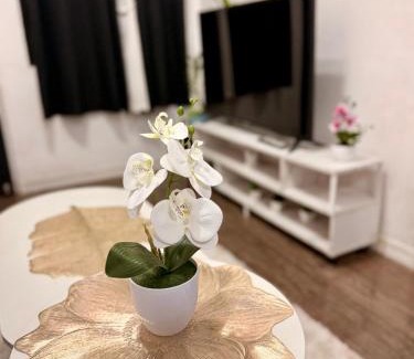 Santa Rosa Apartamento | Santa Cosy Villa B Fast Wi-Fi, Netflix Included Split system Air-con & Hot Shower