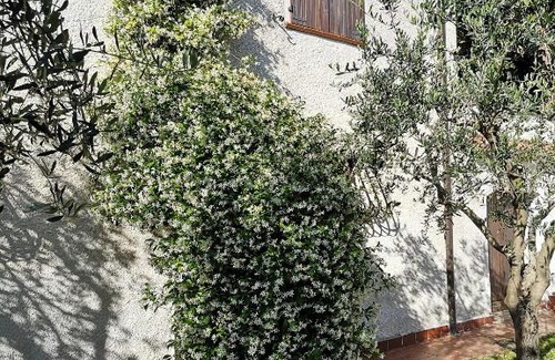 Fossato di Vico Casa | Santa Croce