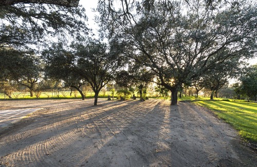 Peraleda de la Mata Cabaña | Santa Cruz de Alarza, un lugar para disfrutar de la naturaleza