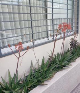 Godoy Cruz Casa | Santa Rosa
