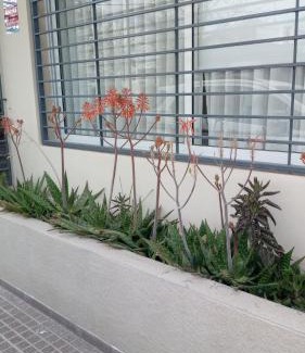 Godoy Cruz Casa | Santa Rosa