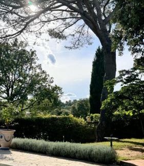 Piolenc Cama Y Desayuno | Santolines en Provence