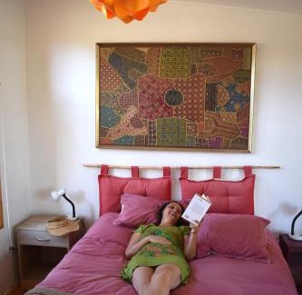Vicuna Chalet De Esquí | Santuario Cosmico Mamalluca