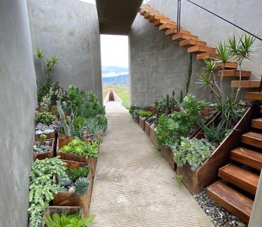Valle de Guadalupe Cama Y Desayuno | Santulan