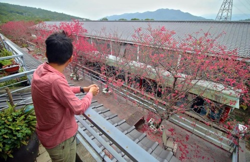 Sanyi Casa | Sanyi Wei Wei Feng B&B