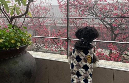Sanyi Casa | Sanyi Wei Wei Feng B&B