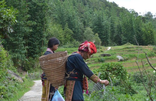 Lao Cai Casa | Sapa Homestay Trekking Tour For Backpackers