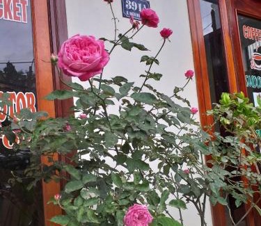Sa Pa Hotel | SaPa Peace Valley hotel