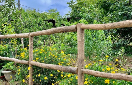Cha Pai Cama Y Desayuno | Sapa Plum Homestay