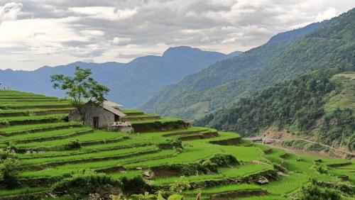 Sa Pa Casa | Sapa's Soul