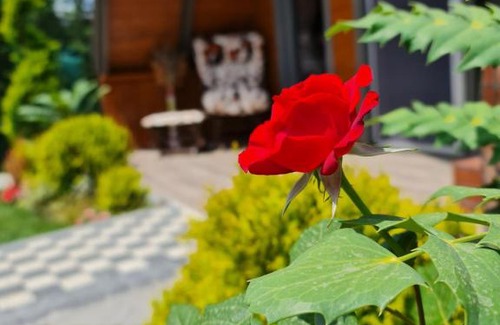 Sapanca Chalet De Esquí | Sapancahayalbungalow