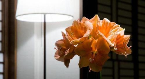 Kitahiroshima Hotel | Sapporo Kitahiroshima Classe Hotel