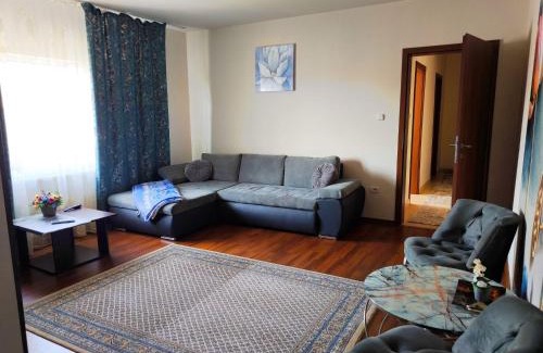 Otelu Rosu Apartamento | Sarah Apartament