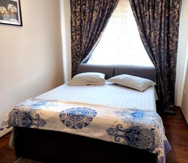 Otelu Rosu Apartamento | Sarah Apartament