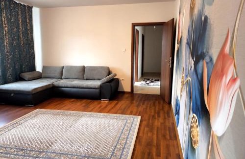 Otelu Rosu Apartamento | Sarah Apartament