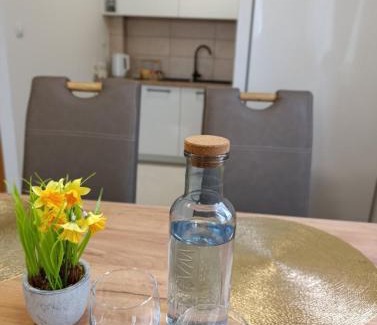 Sarajevo Apartamento | Sarajevo Apartment AMAJE - free parking