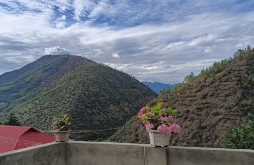 Dirang Casa | Sarung Homestay