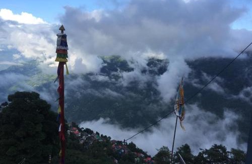 Darjeeling Apartamento | SASHI HOME a Cupid Destination