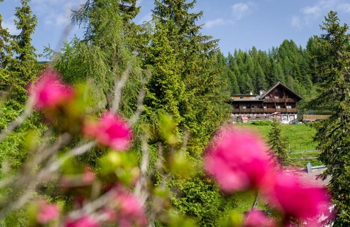 Berg im Drautal Hotel | Sattleggers Alpenhof & Feriensternwarte