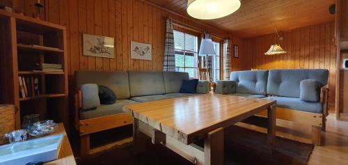 Lofsdalen Casa | Sauna | Wi-Fi | Terrace | Wood stove | Cable TV