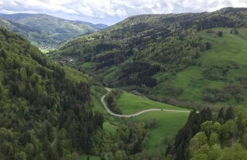 Reiselfingen Apartamento | Saunaparadies Black Forest
